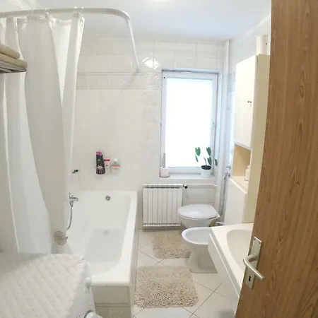 Apartment Nika